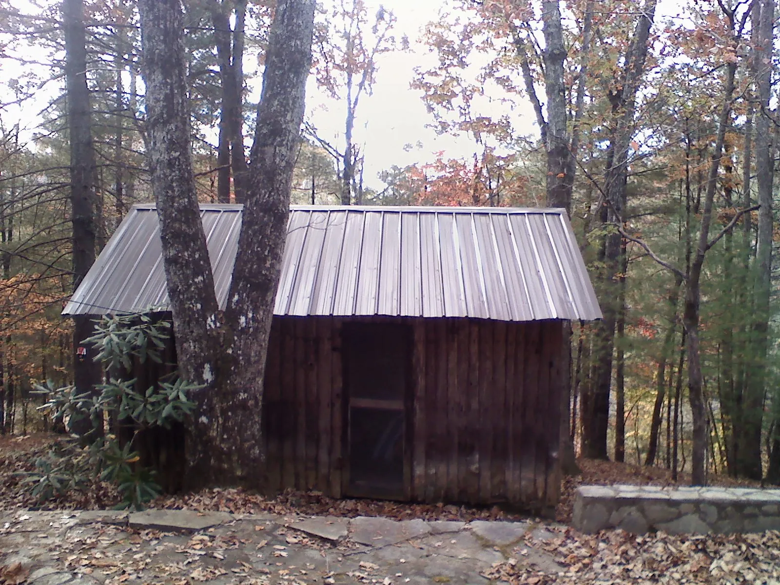 New metal gable roof on a small log shed among the trees in Alexandria
